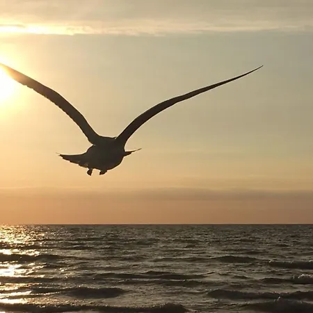 Kleine Auszeit Neuhaus (Mecklenburg-Vorpommern)